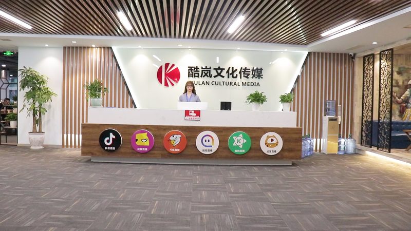 传媒公司：优劣势解析，助力行业洞察**